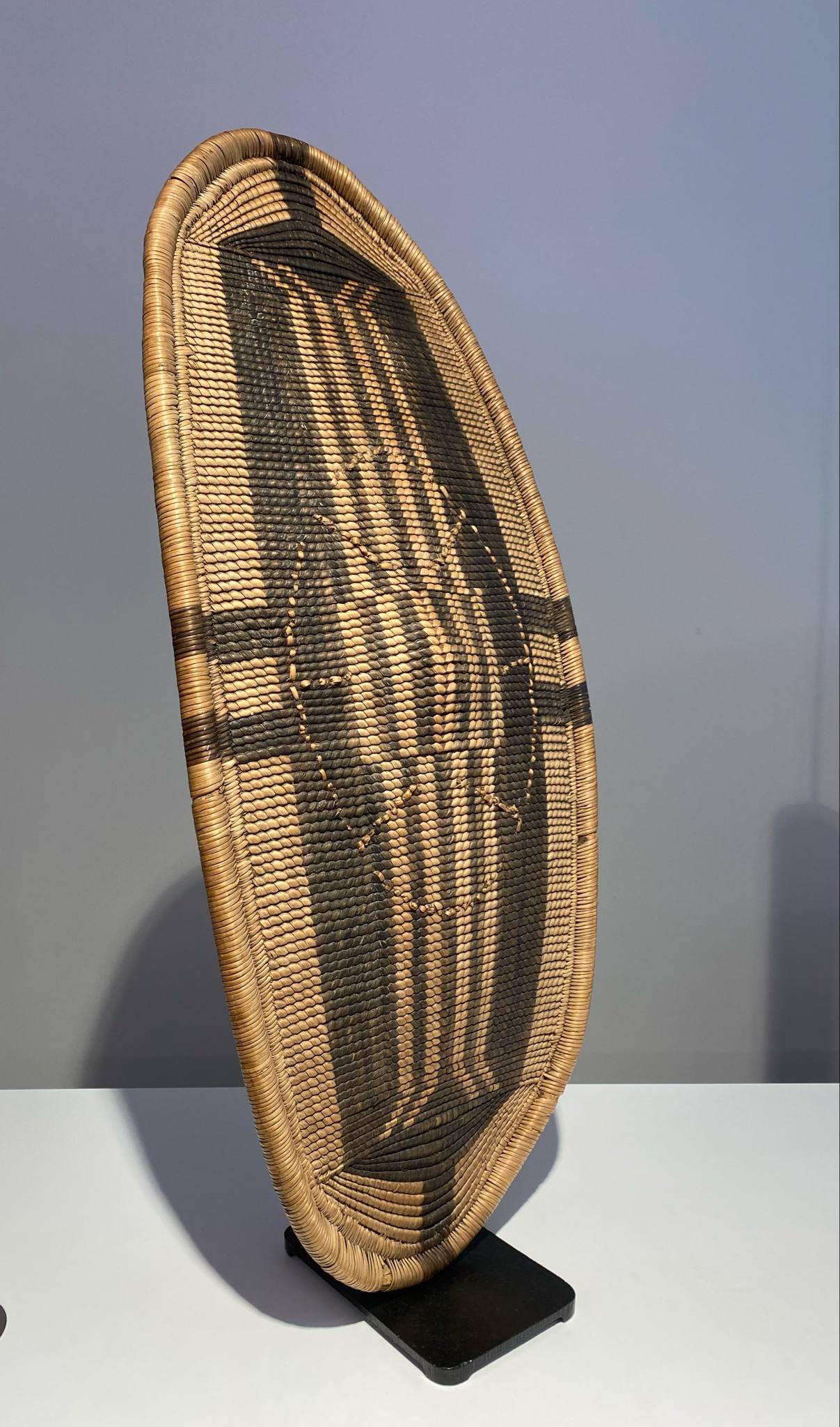 19th century DR CONGO African shield tribe Bandia Zande Djabbir 1880-1900 Art For Sale 1
