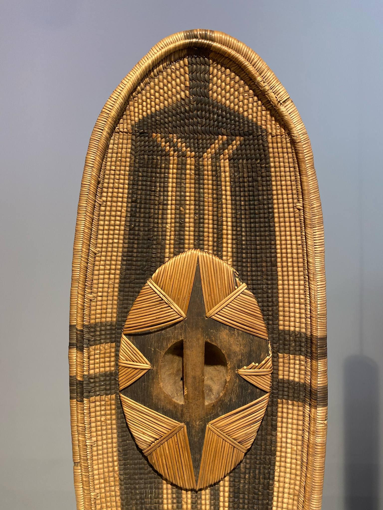 19th century DR CONGO African shield tribe Bandia Zande Djabbir 1880-1900 Art For Sale 3