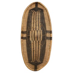 Siglo XIX DR CONGO Escudo africano tribu Bandia Zande Djabbir 1880-1900 Arte