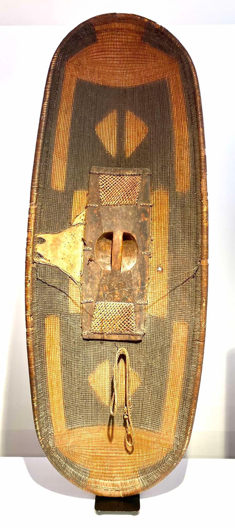 19th century DR CONGO African shield tribe Ngbandi Yakoma Ubangi 1880-1900 Art For Sale 5
