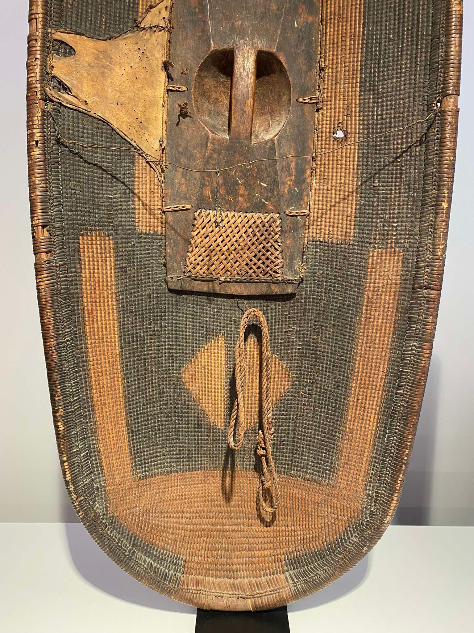 19th century DR CONGO African shield tribe Ngbandi Yakoma Ubangi 1880-1900 Art For Sale 7