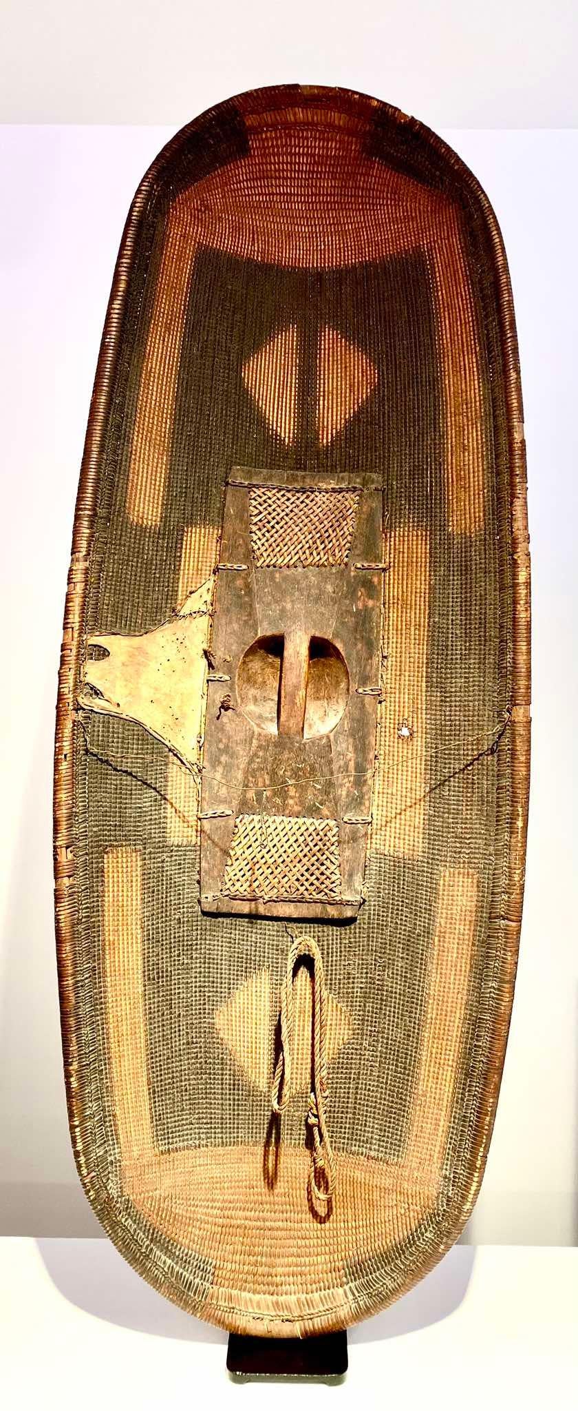 19th century DR CONGO African shield tribe Ngbandi Yakoma Ubangi 1880-1900 Art For Sale 10