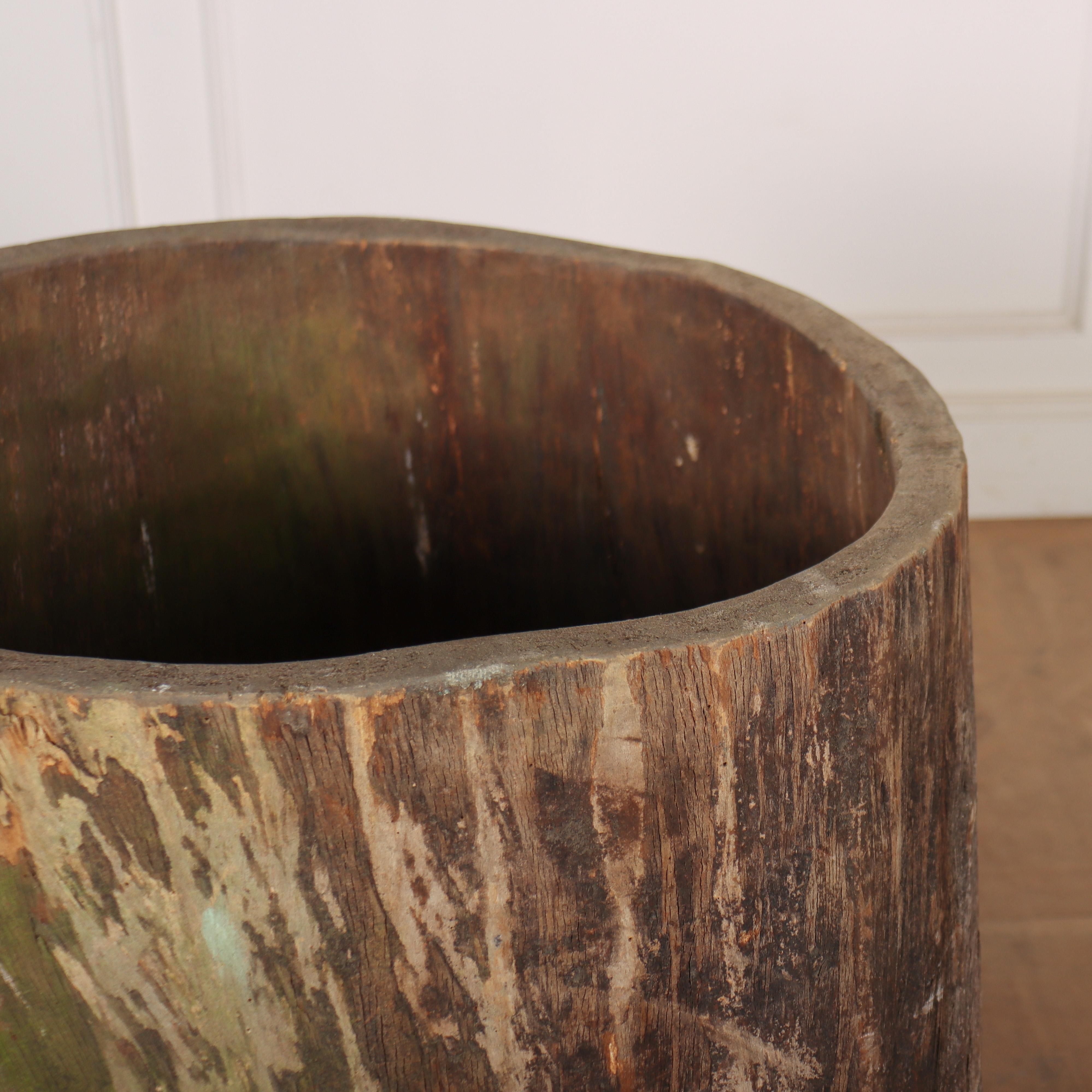Bonne jardinière en sycomore creusée du 19ème siècle avec des traces de peinture verte ancienne. 1890.

Code : 8567

Dimensions:H : 31.5