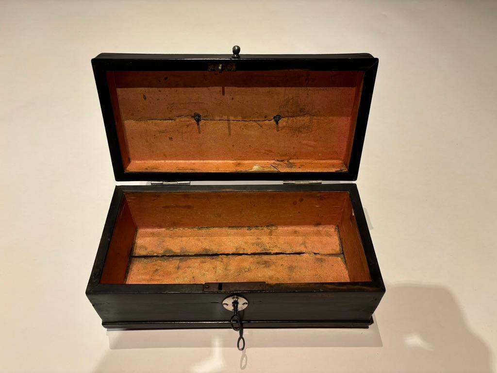 Scatola olandese in ebano del XIX secolo con cerniere e supporti in argento in vendita 10
