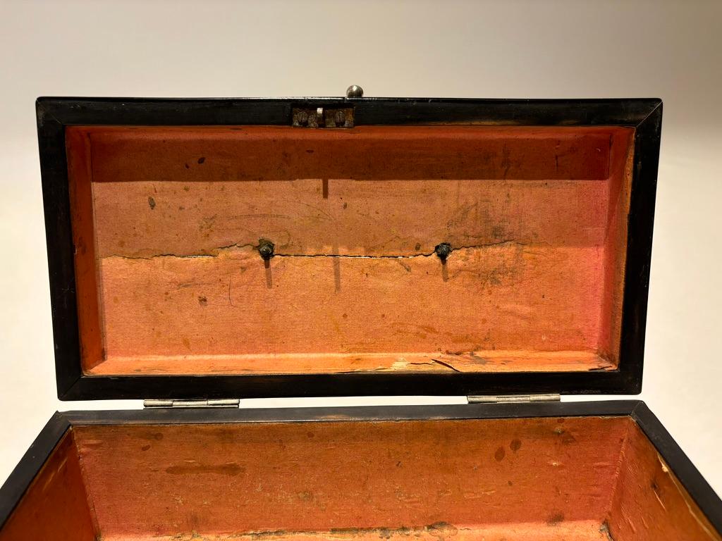 Scatola olandese in ebano del XIX secolo con cerniere e supporti in argento in vendita 11