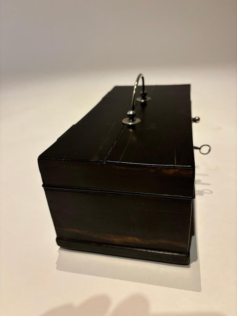 Scatola olandese in ebano del XIX secolo con cerniere e supporti in argento in vendita 13