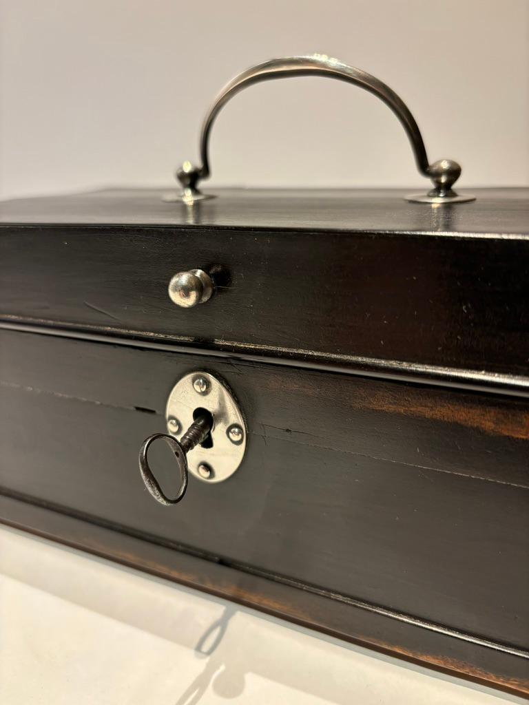 Intagliato a mano Scatola olandese in ebano del XIX secolo con cerniere e supporti in argento in vendita