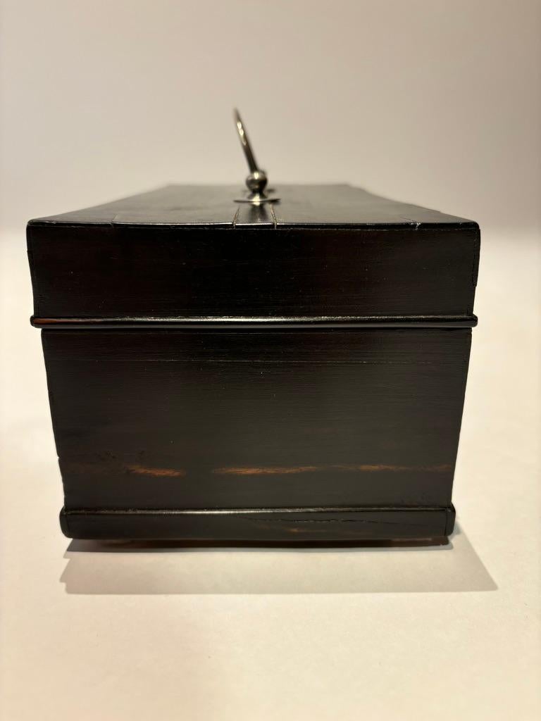 Argento Scatola olandese in ebano del XIX secolo con cerniere e supporti in argento in vendita