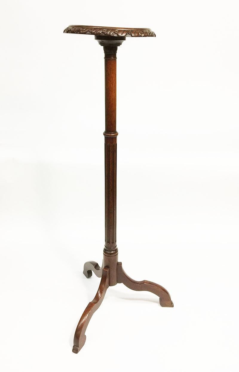 19th century Dutch mahogany torchère or plant stand

A mahogany tripod torchère or plant stand with round top measures 23 cm diagonal
The stand is 86 cm high and the weight is approximate 1 kilo.