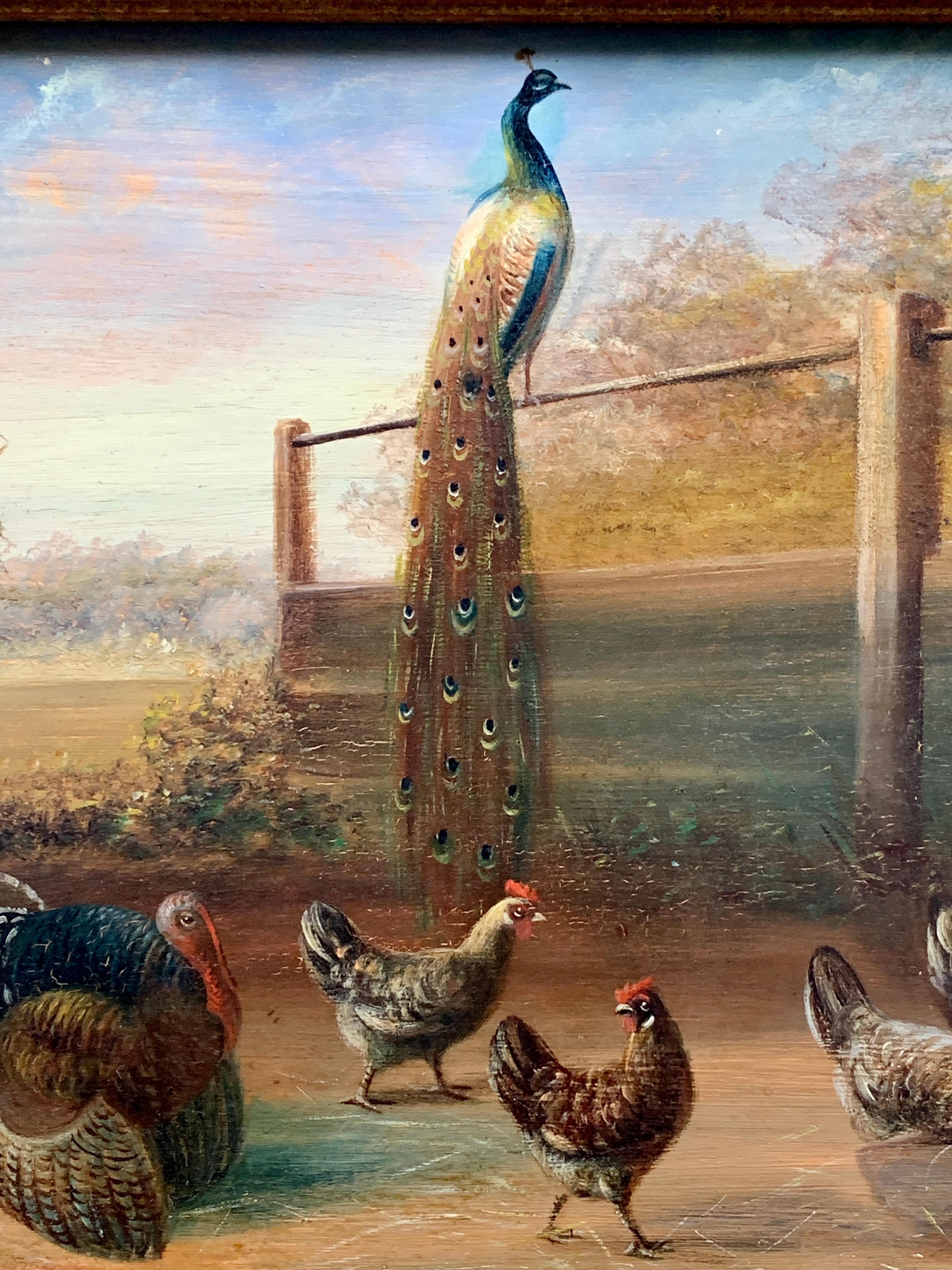 19th century Dutch or Flemish bird study in a landscape, with chickens, turkey  - Painting by Unknown