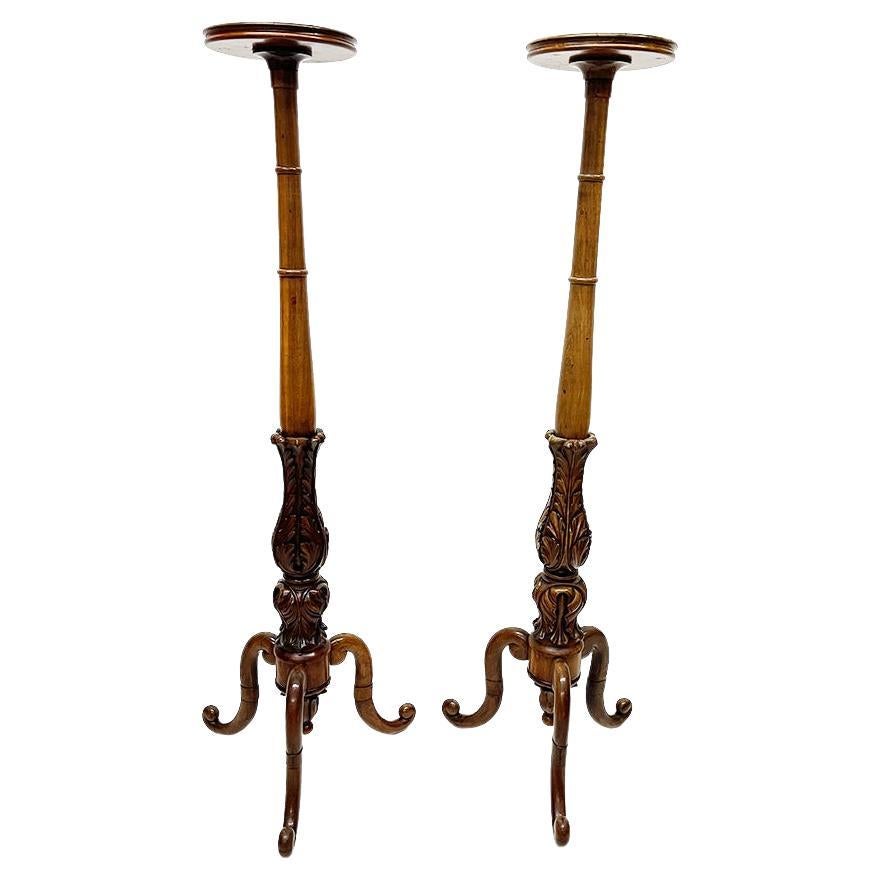 19th Century Dutch Wooden Plant Stands