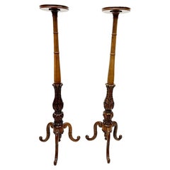 19th Century Dutch Wooden Plant Stands