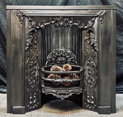 19th Century Early Victorian Scottish Cast Iron Fireplace Insert.
