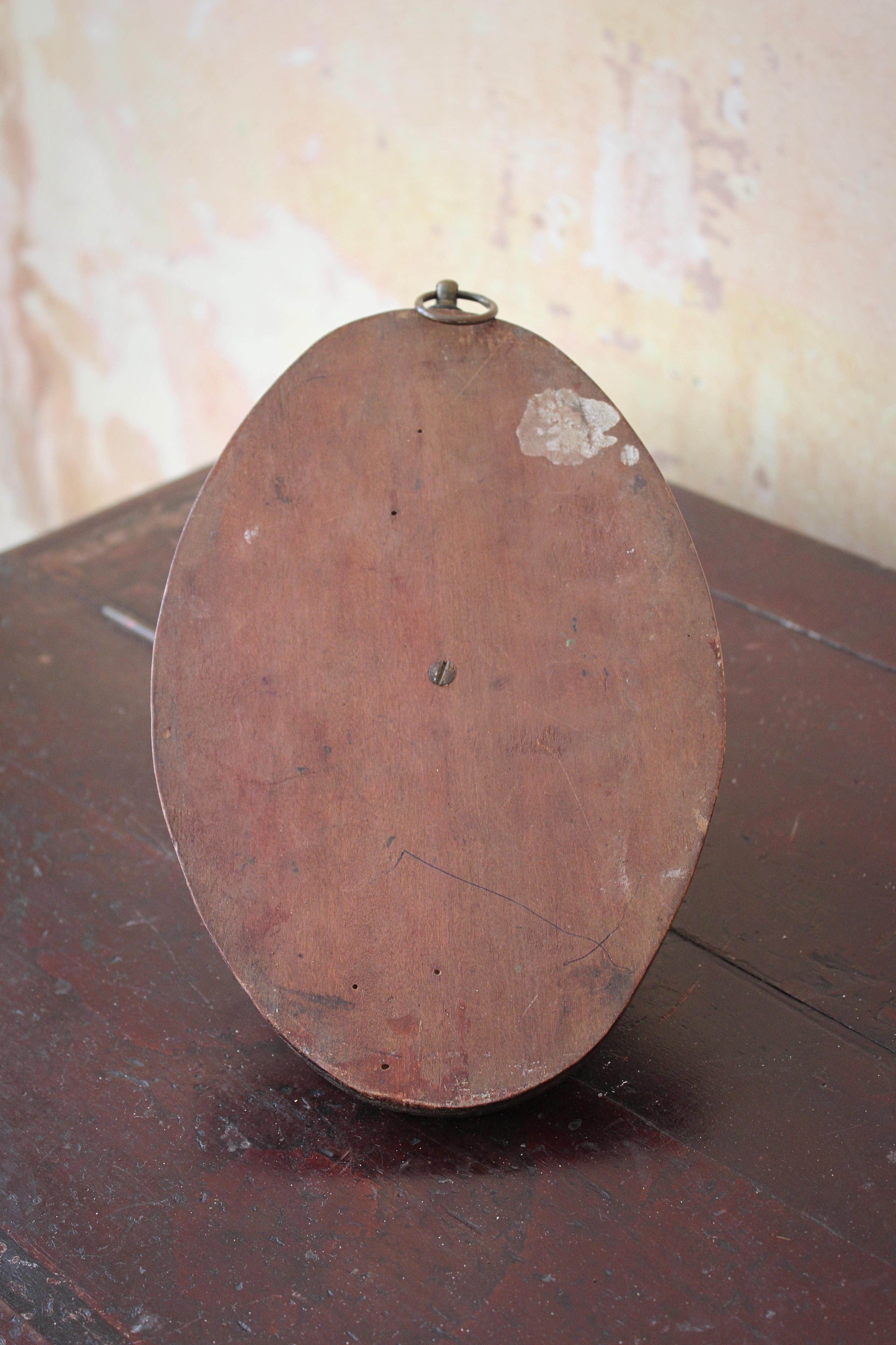 Frühviktorianische Schildpatthalterung auf Eiche, Oval Taxidermie Curio, 19. Jahrhundert  im Angebot 6