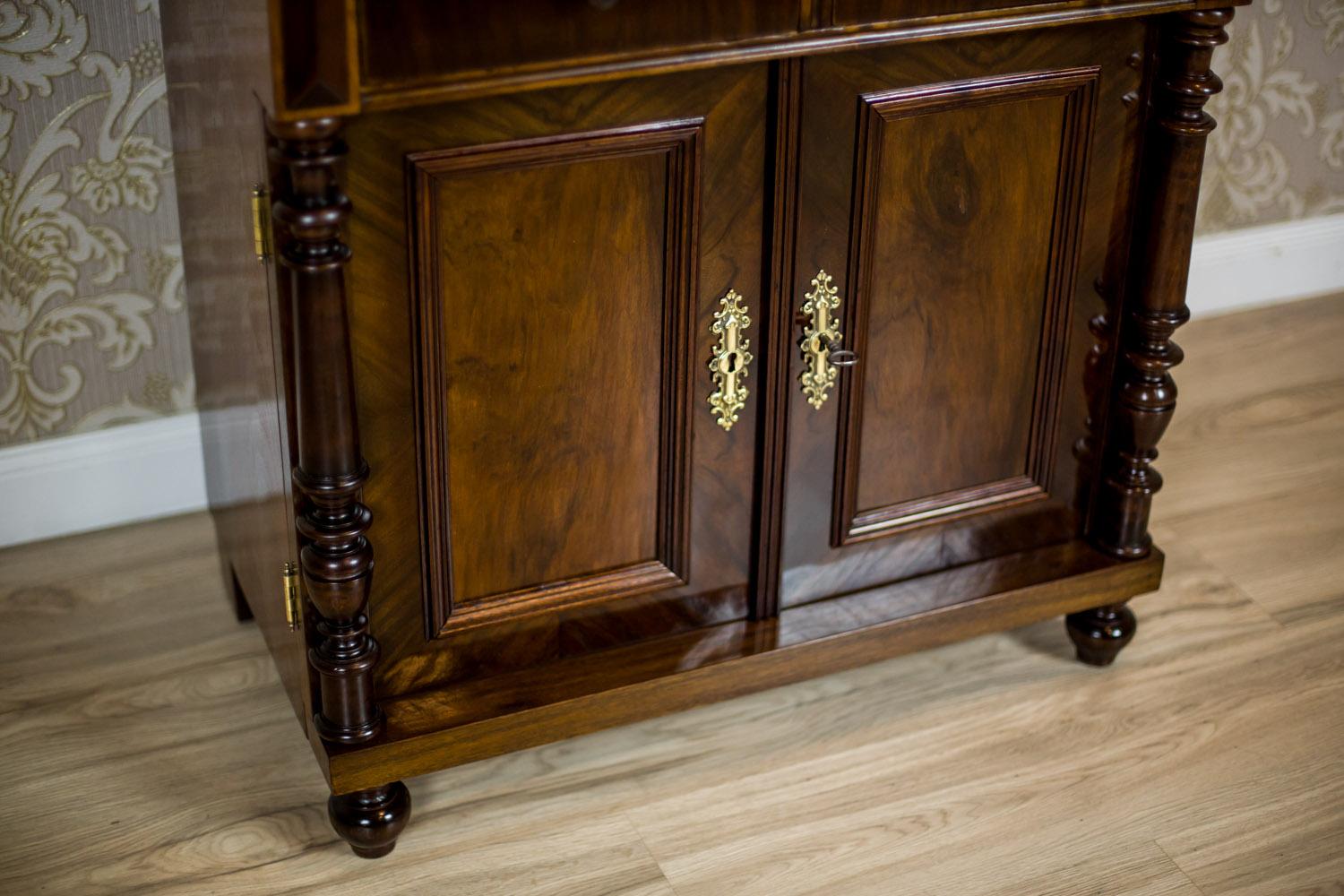 19th Century Eclectic Basin Cabinet Veneered with Walnut 8