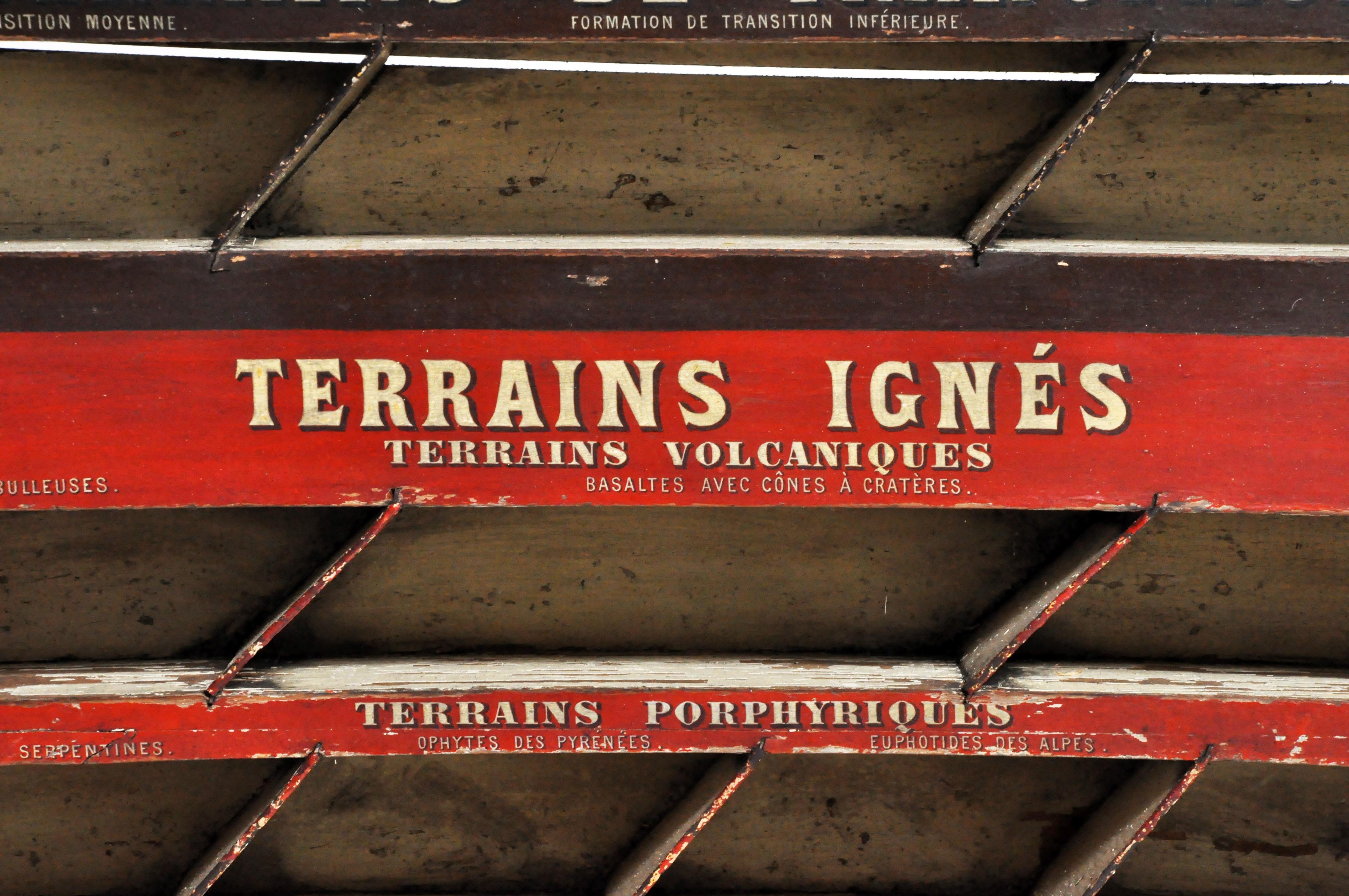 19th Century Educational Wall Display 4