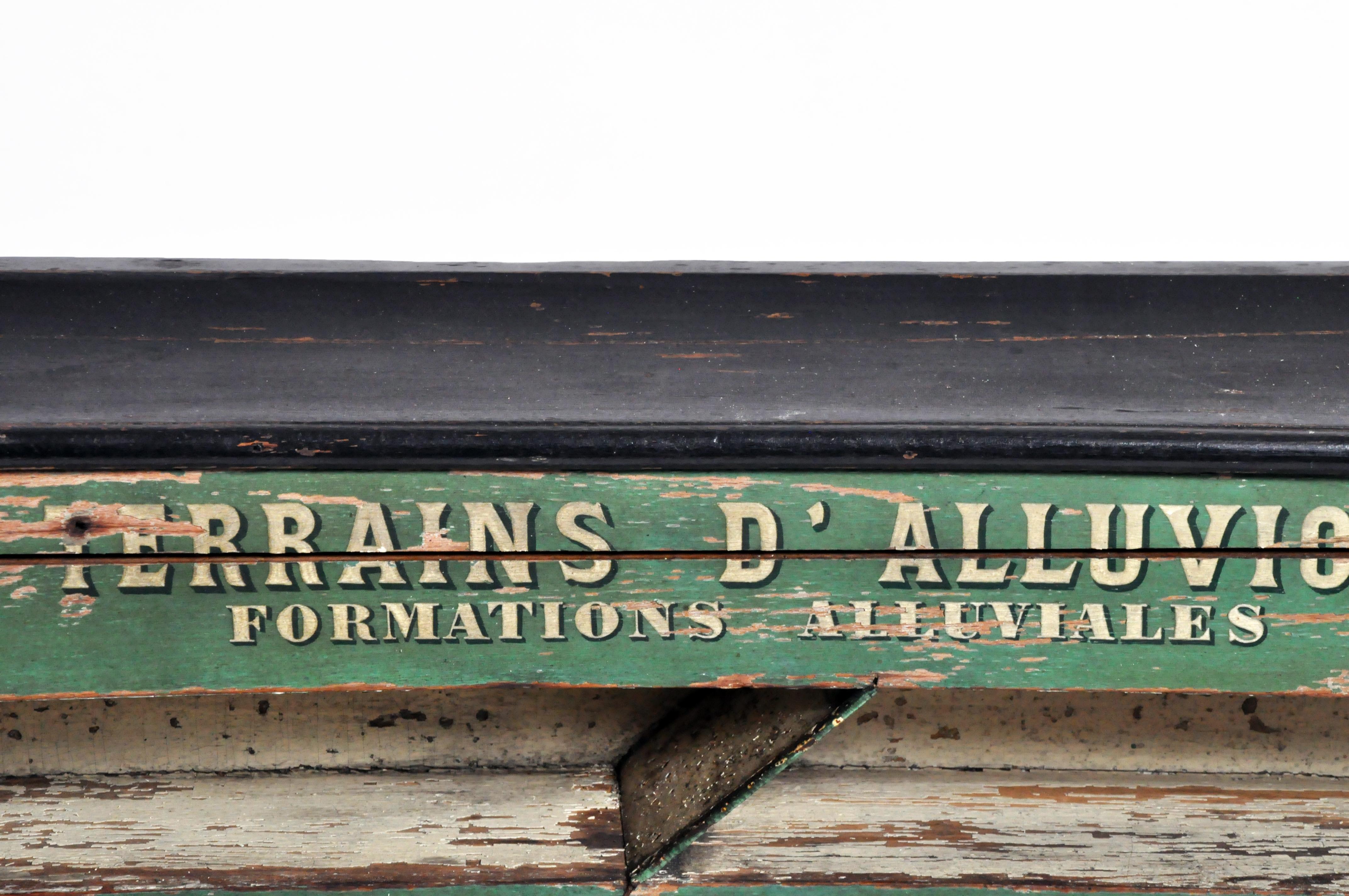 19th Century Educational Wall Display 14