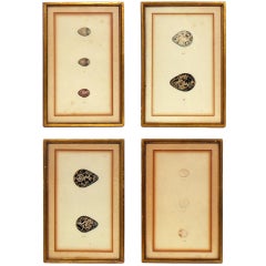 19th Century Egg Etchings