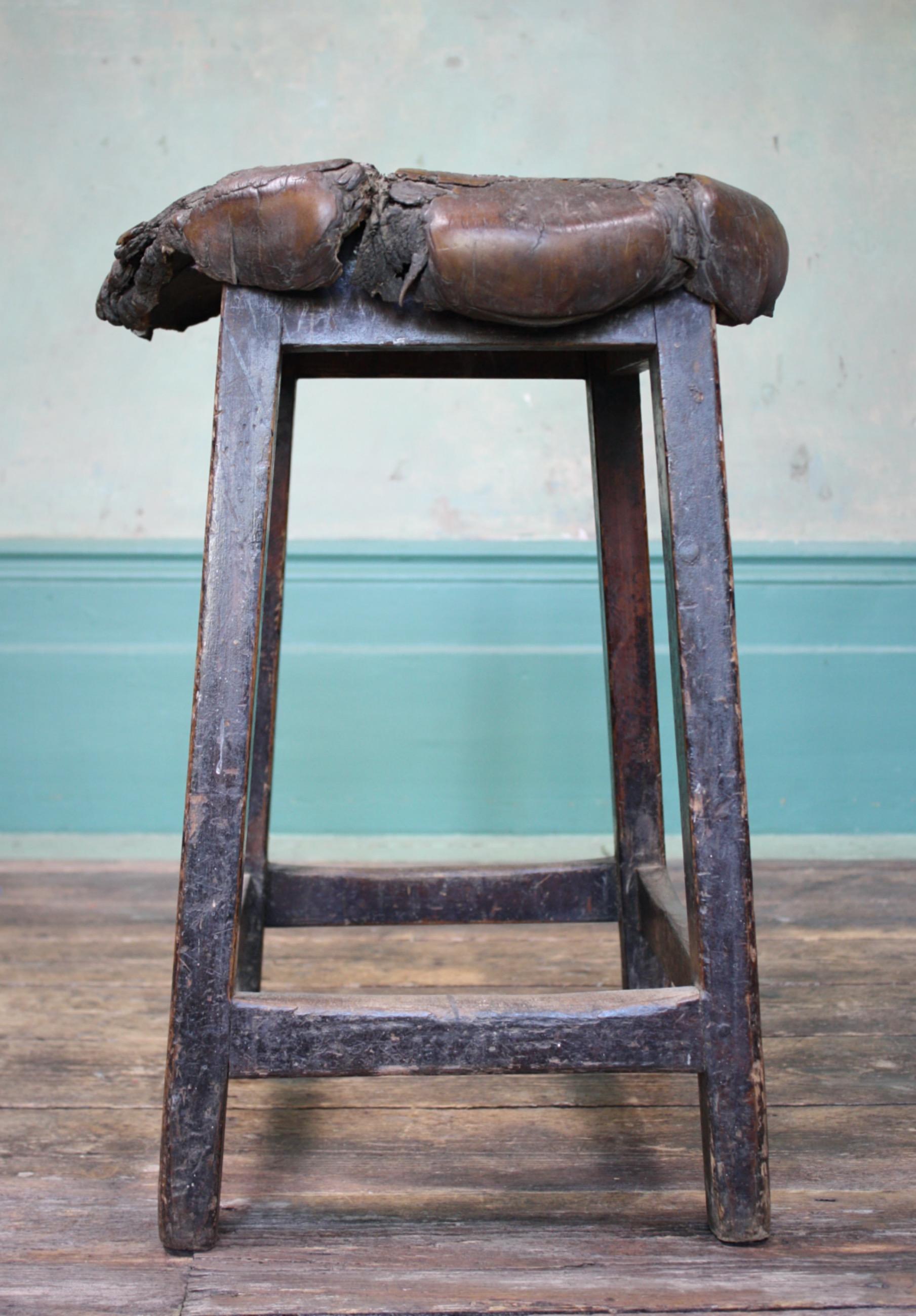 19th Century Elephant Pad Pine Stool Animal Furniture Taxidermy Folk Art 4