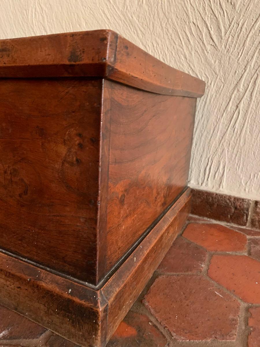 Hand-Crafted 19th Century Elm Chest Trunk