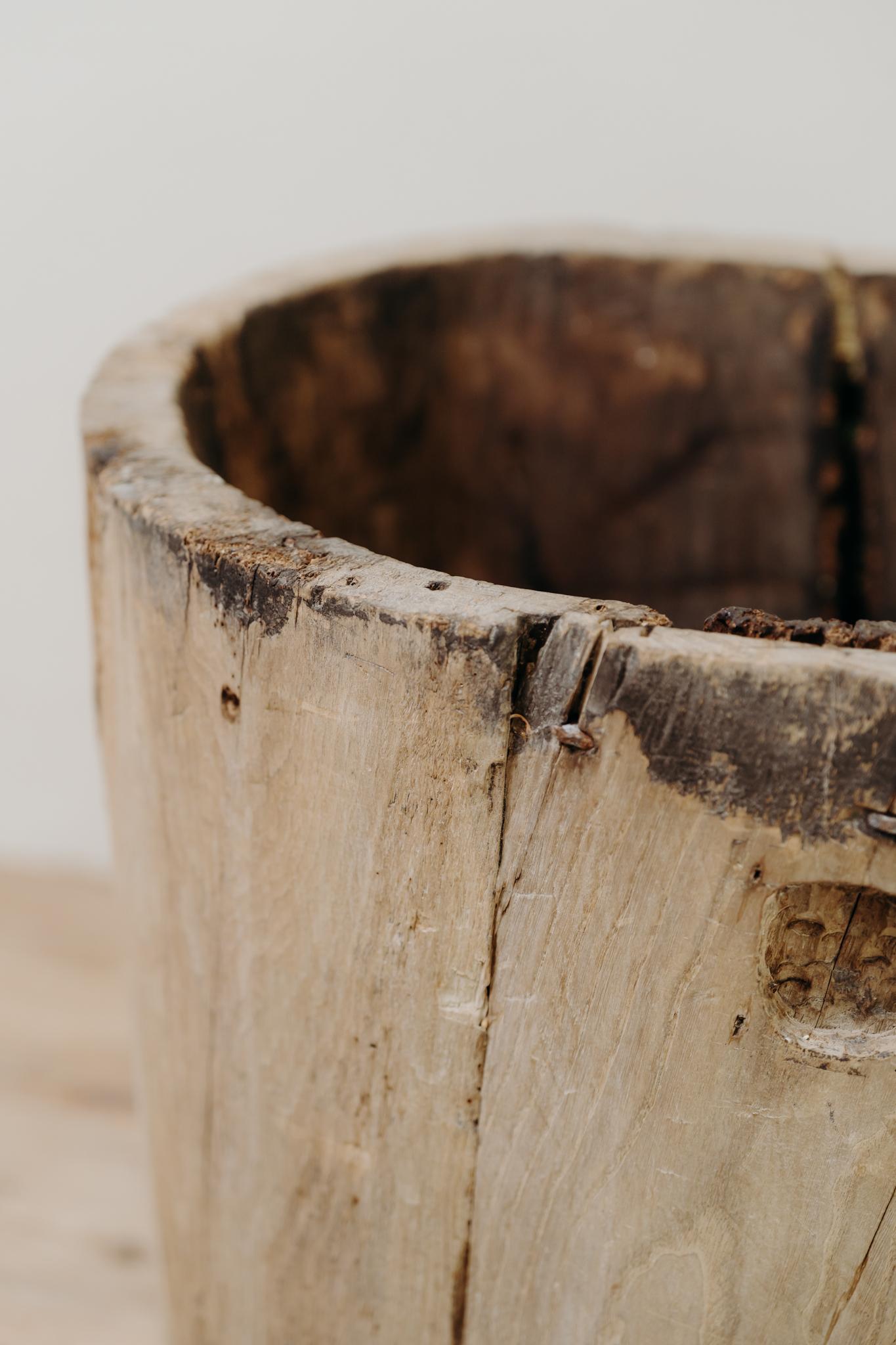 Tronco di piroga in legno d'olmo del XIX secolo in vendita 6