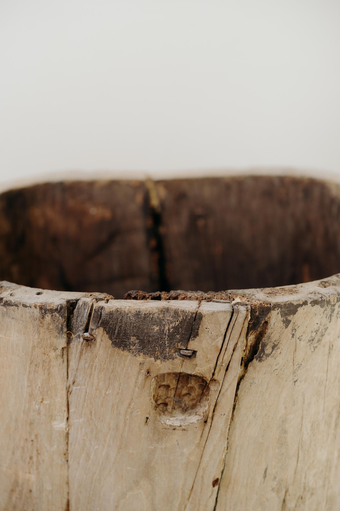 Tronco di piroga in legno d'olmo del XIX secolo in vendita 8