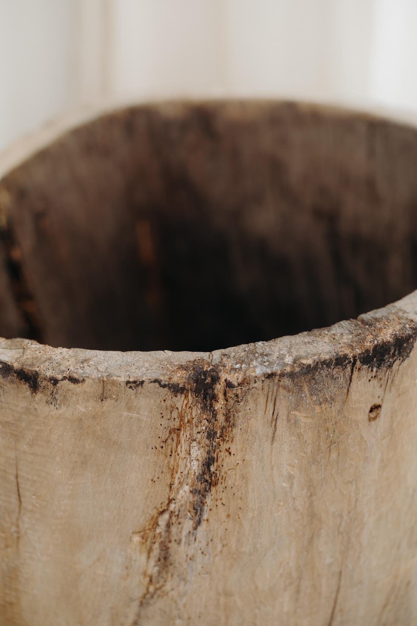 Tronco di piroga in legno d'olmo del XIX secolo in vendita 10