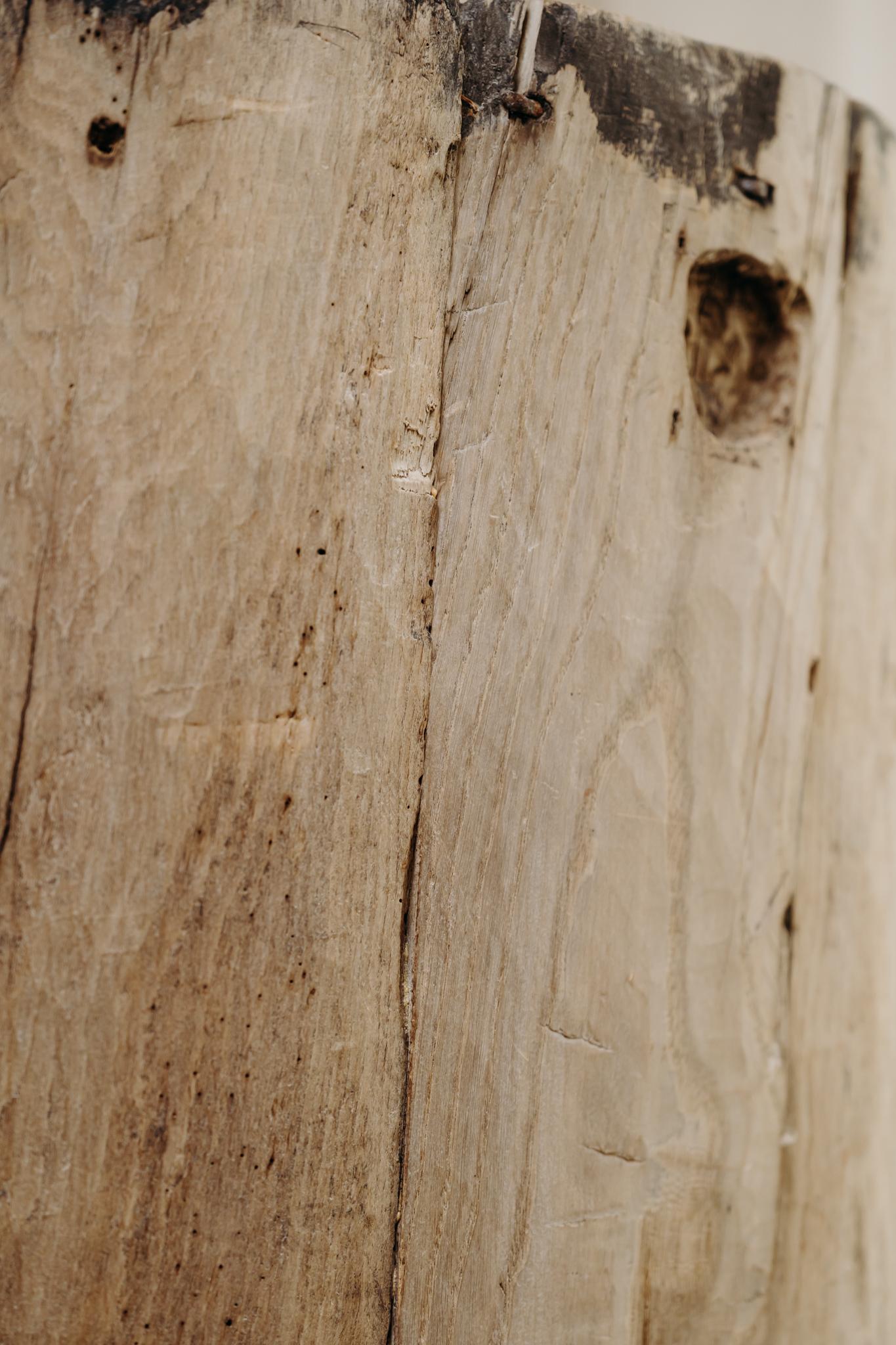 Spagnolo Tronco di piroga in legno d'olmo del XIX secolo in vendita