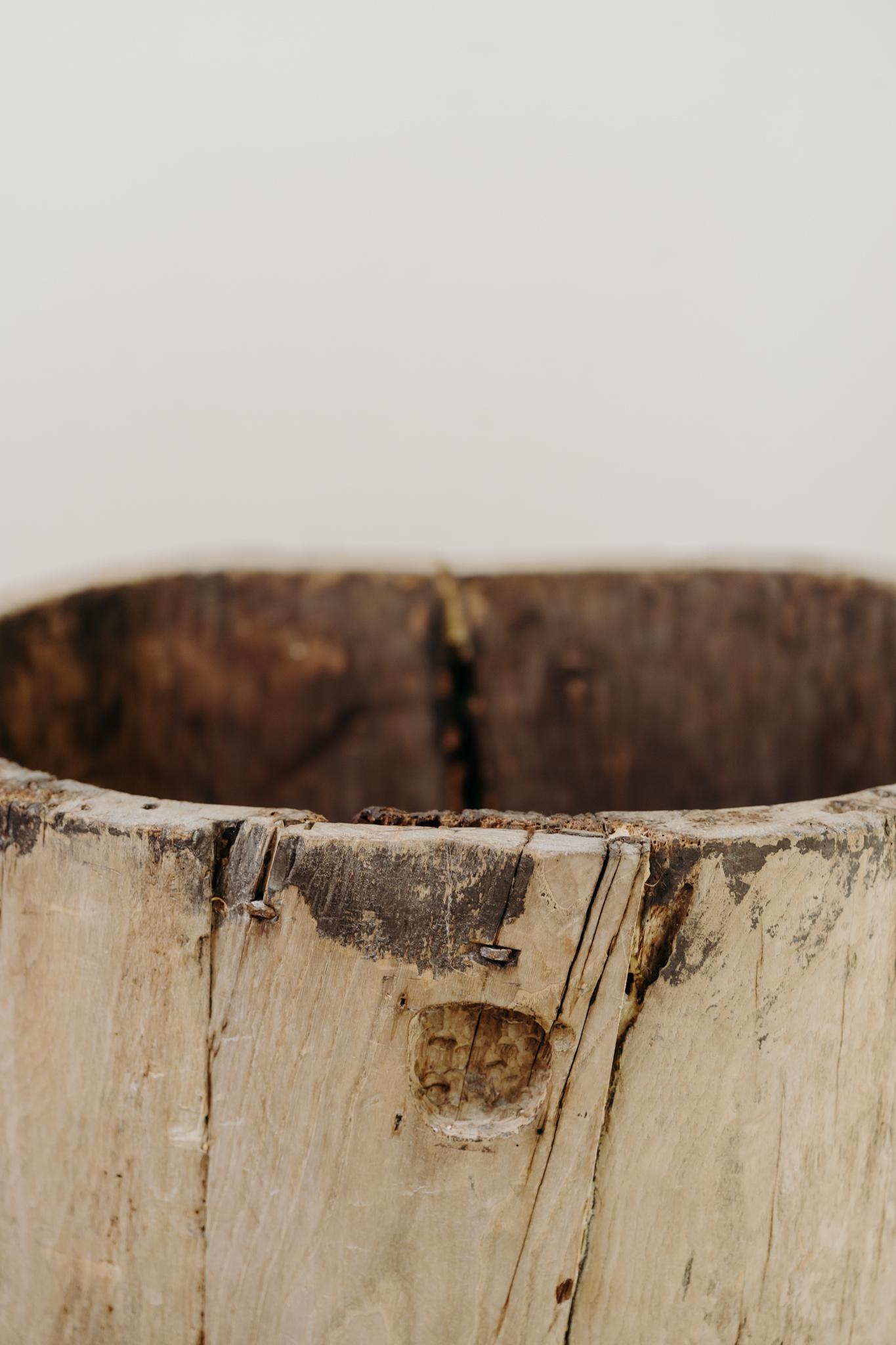 Olmo Tronco di piroga in legno d'olmo del XIX secolo in vendita