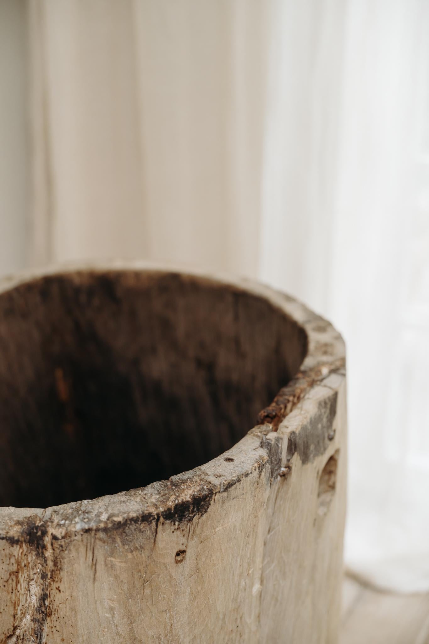 Tronco di piroga in legno d'olmo del XIX secolo in vendita 2