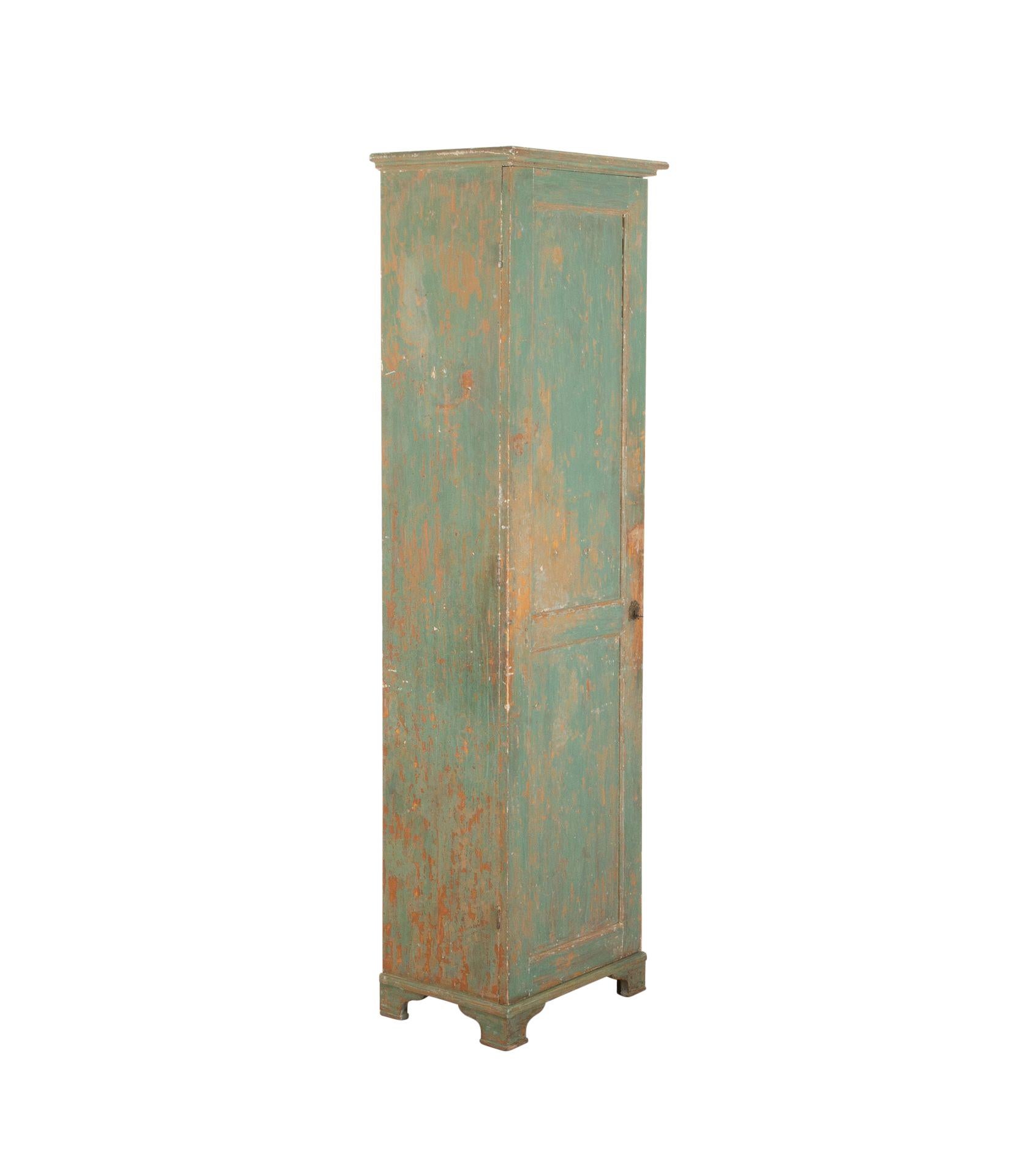 19th Century Empire Column Cabinet from the North of Sweden For Sale 2