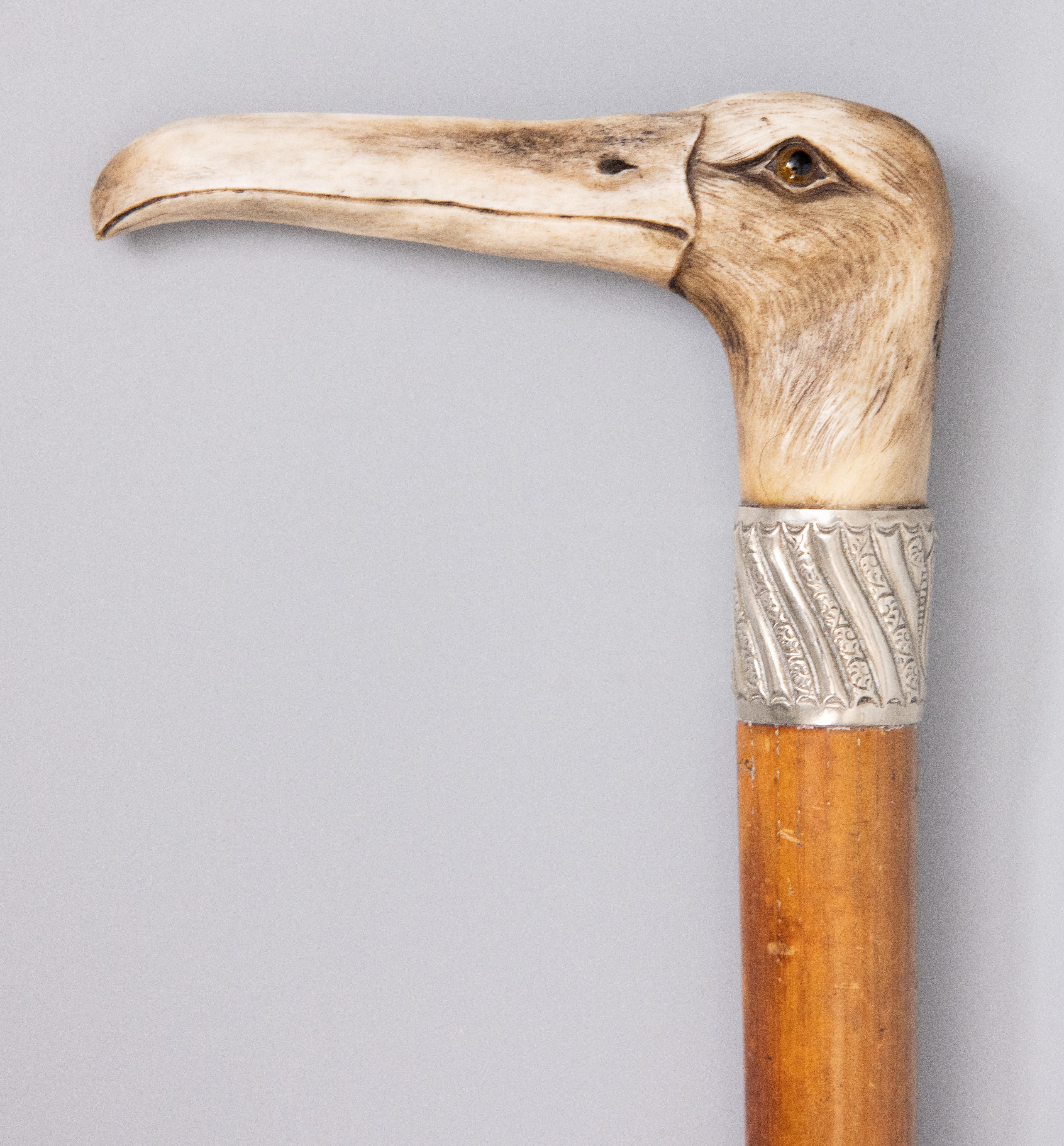 A superb antique 19th century English gentleman's walking stick with a carved stag Horn albatross bird handle. This handsome walking stick has a finely carved albatross handle with exquisite detail and glass eyes, mahogany wood shaft, and decorative