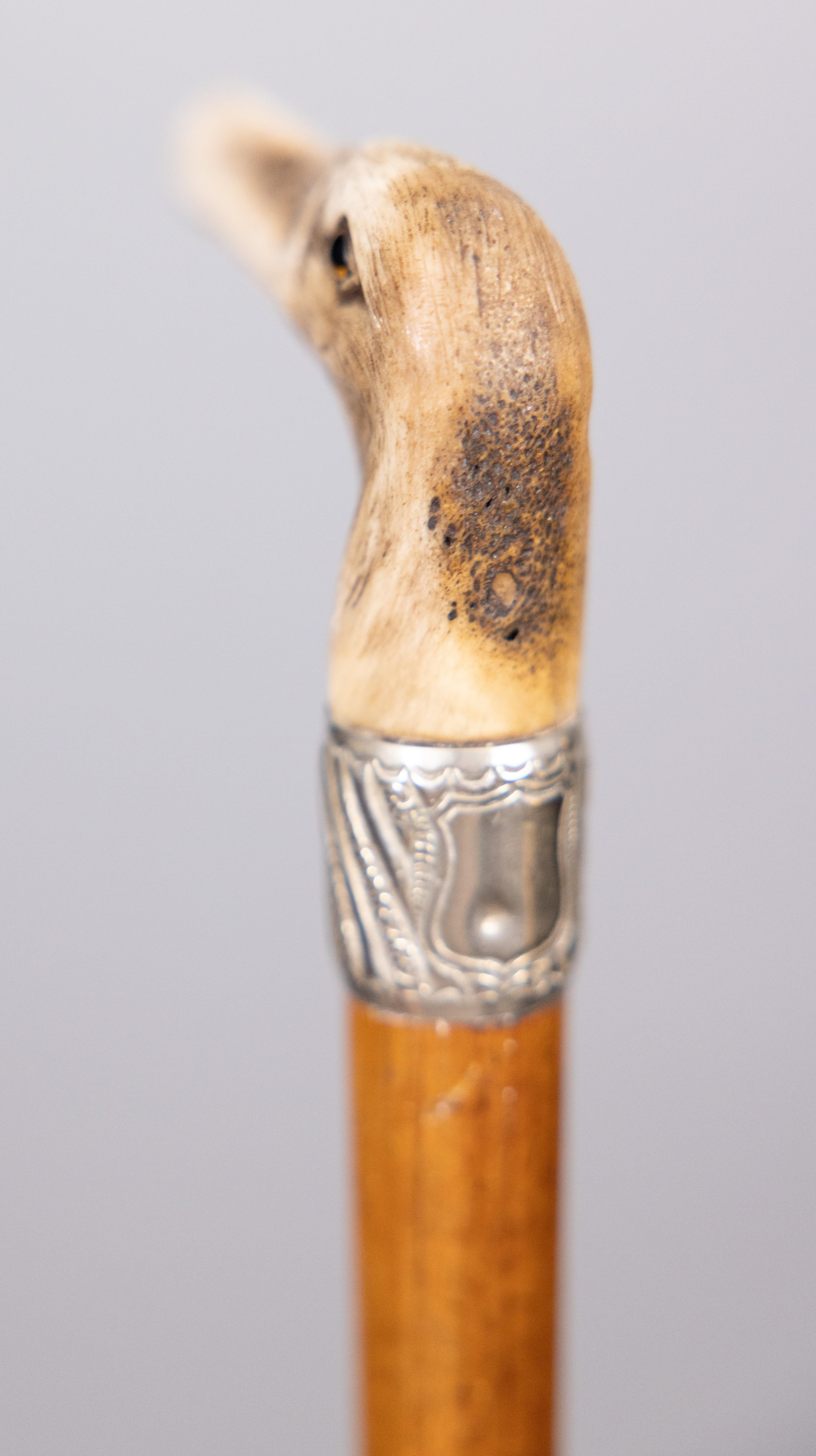 19th Century English Albatross Bird Carved Stag Horn Walking Stick In Good Condition For Sale In Pearland, TX