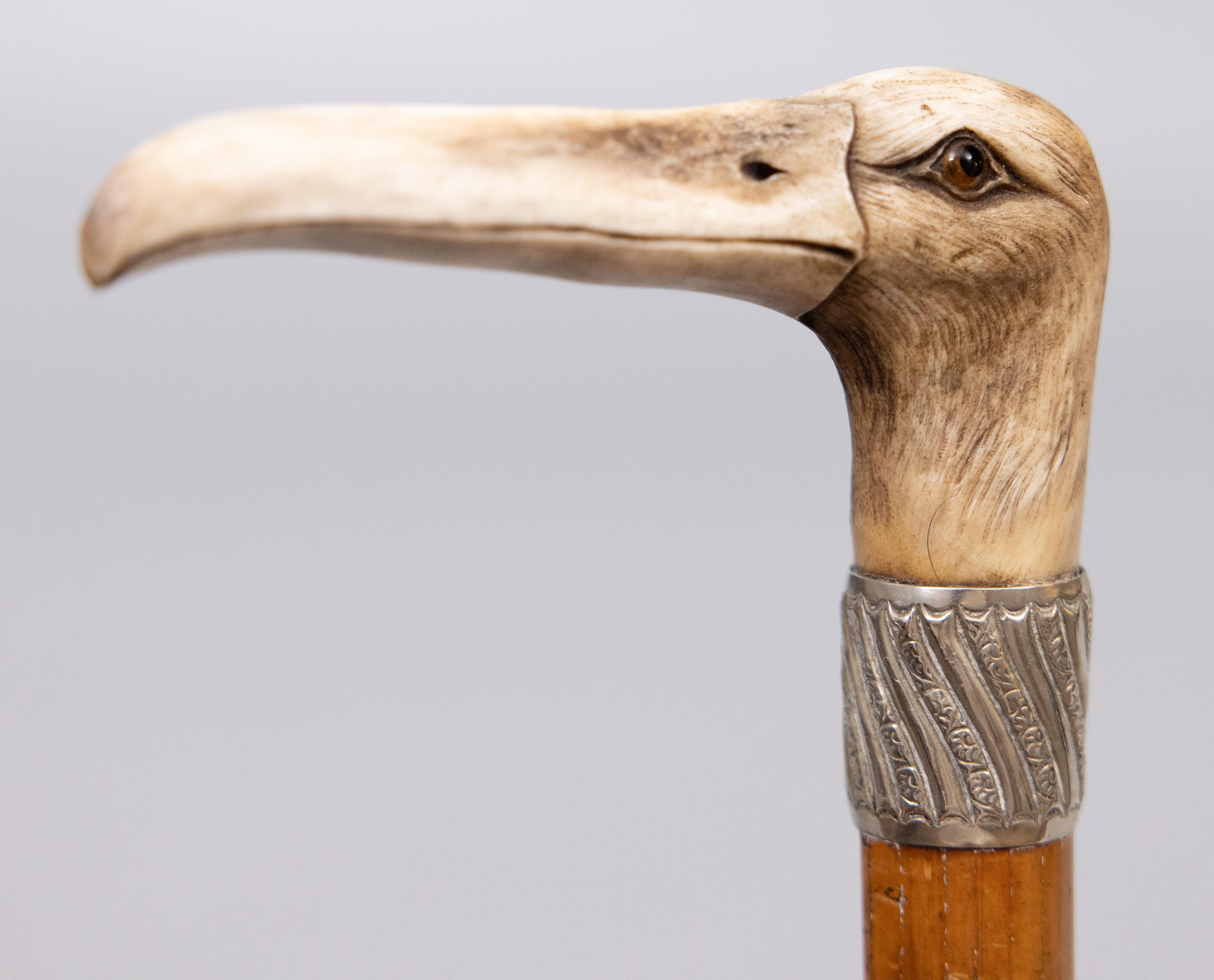 19th Century English Albatross Bird Carved Stag Horn Walking Stick For Sale 2