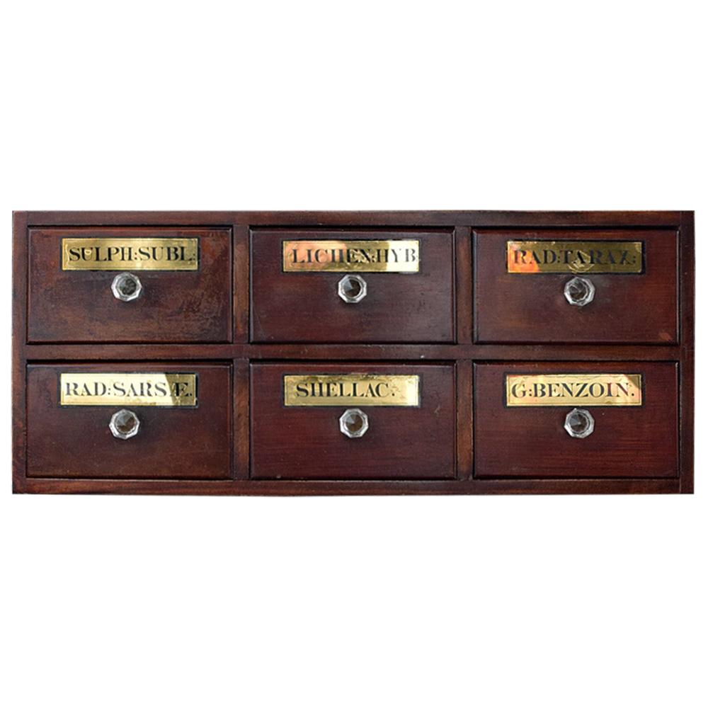 19th Century English Apothecary Drawers