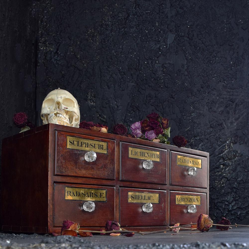 19th Century English Apothecary Drawers 2