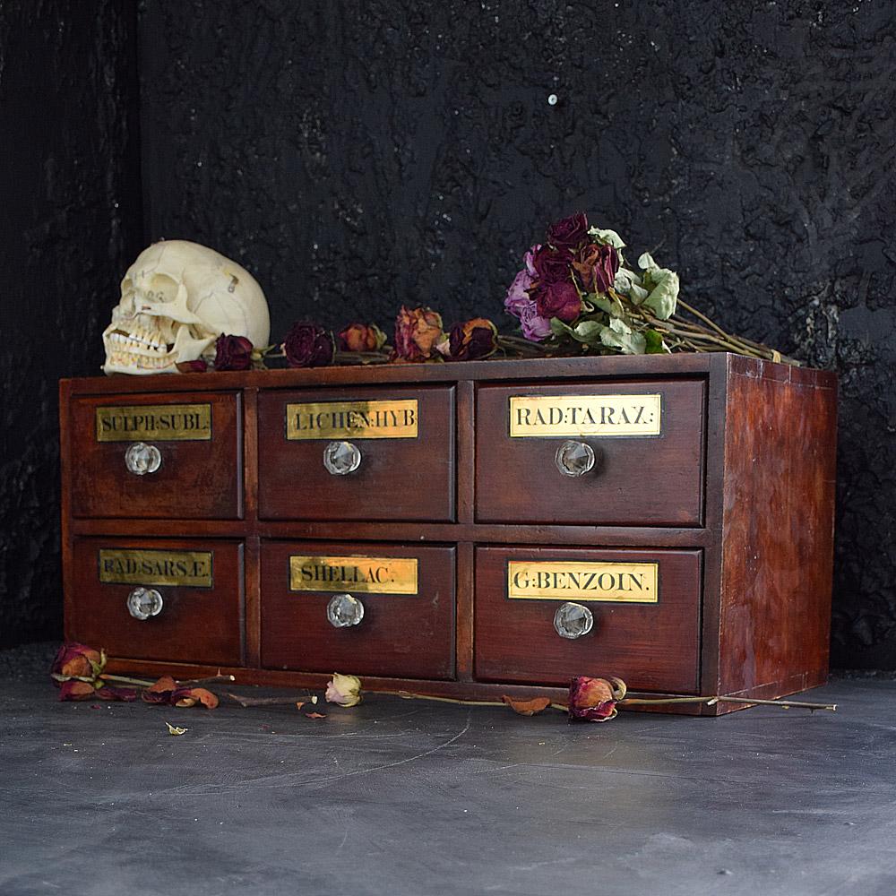 Victorian 19th Century English Apothecary Drawers
