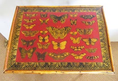 19th Century English Bamboo Side Table with Butterfly Decoupage