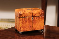 Englische blonde Schildpatt-Teekanne aus dem 19.