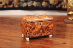 19th Century English Blonde Tortoiseshell Tea Caddy