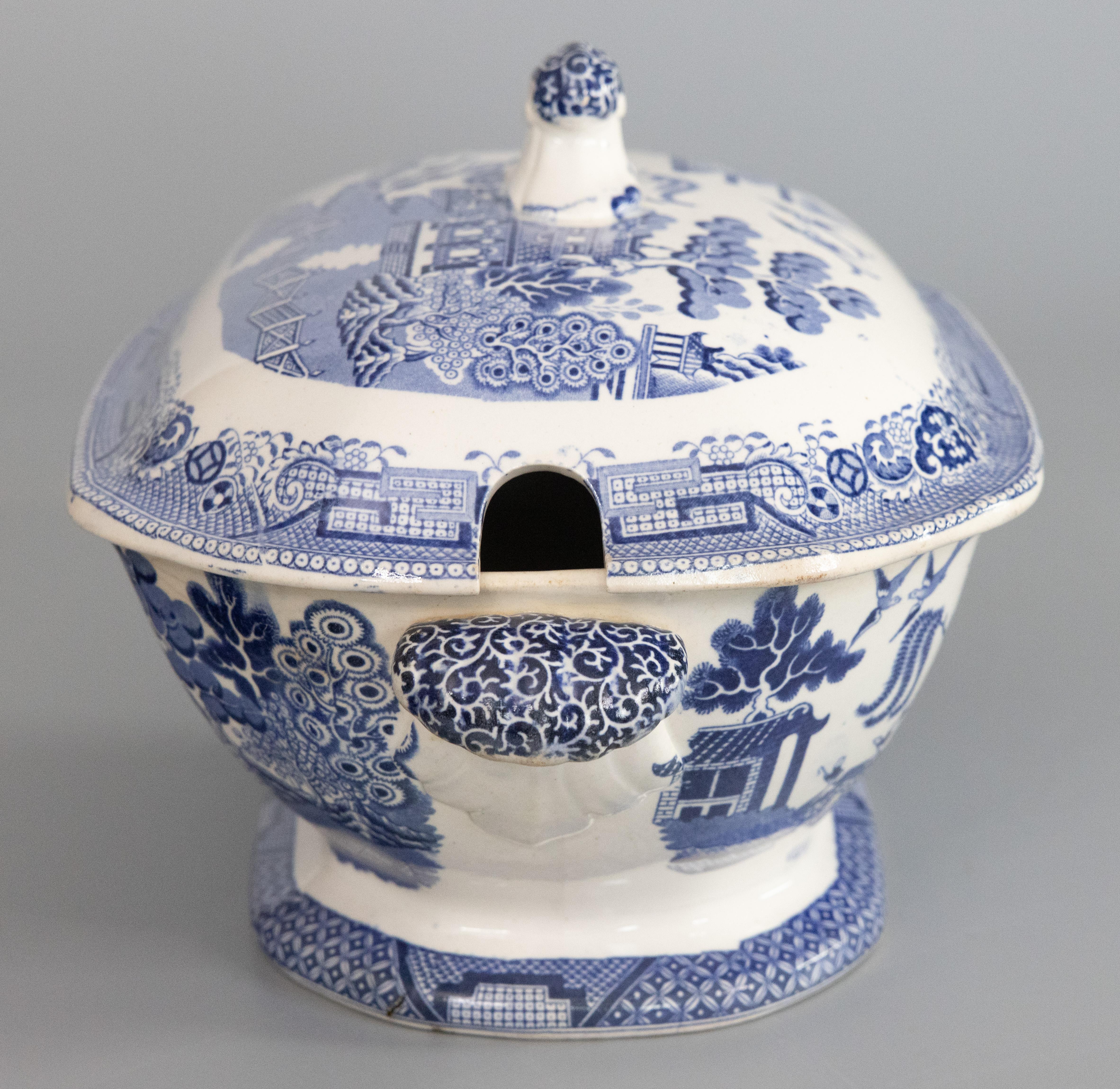 blue tureen