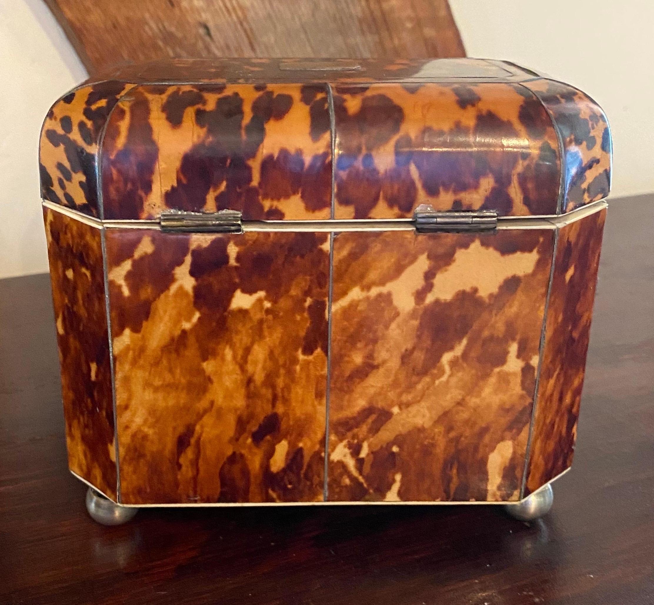 19th Century English Bone Inlaid Tortoise Shell Tea Caddy 8
