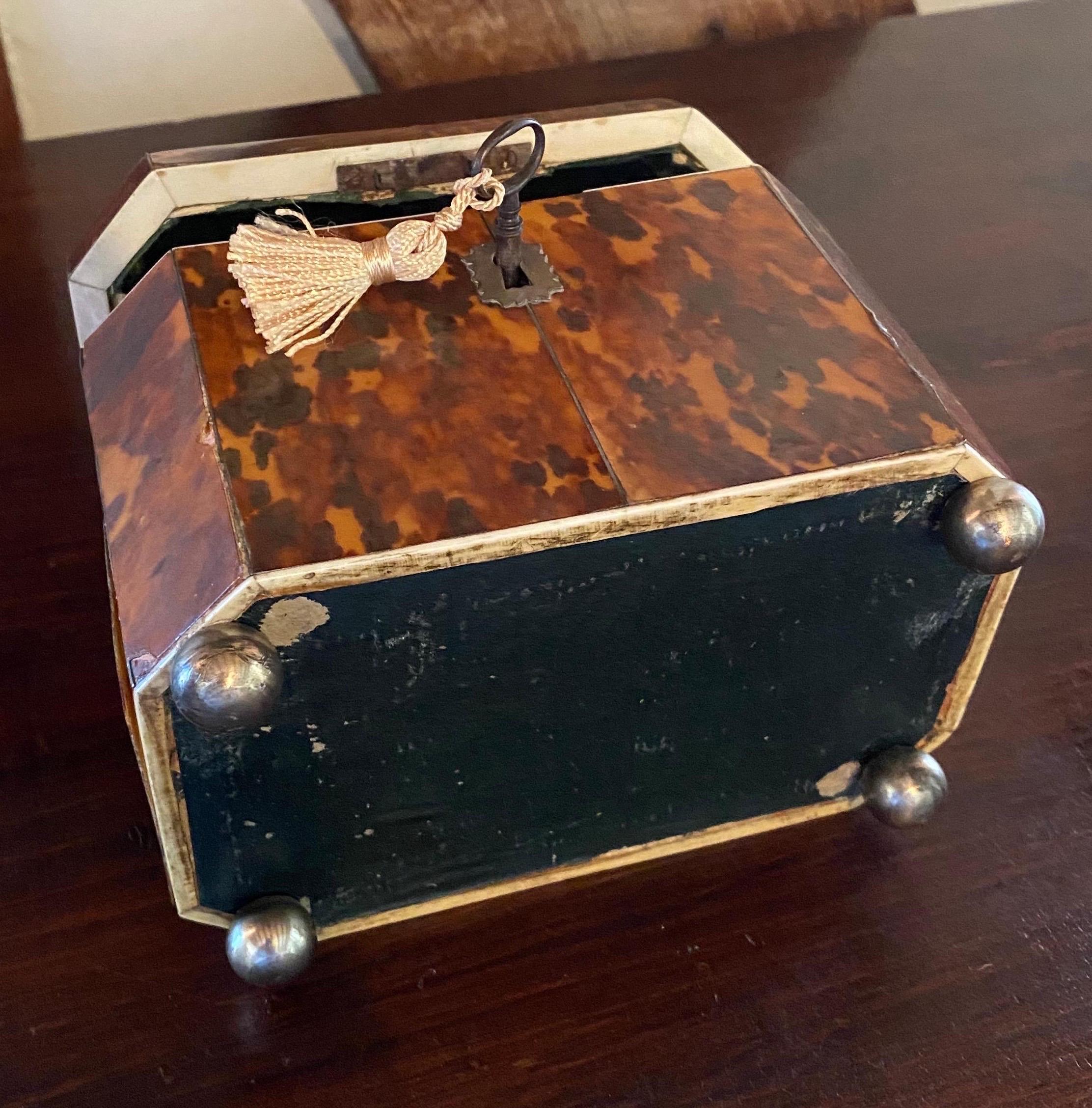 19th Century English Bone Inlaid Tortoise Shell Tea Caddy 10