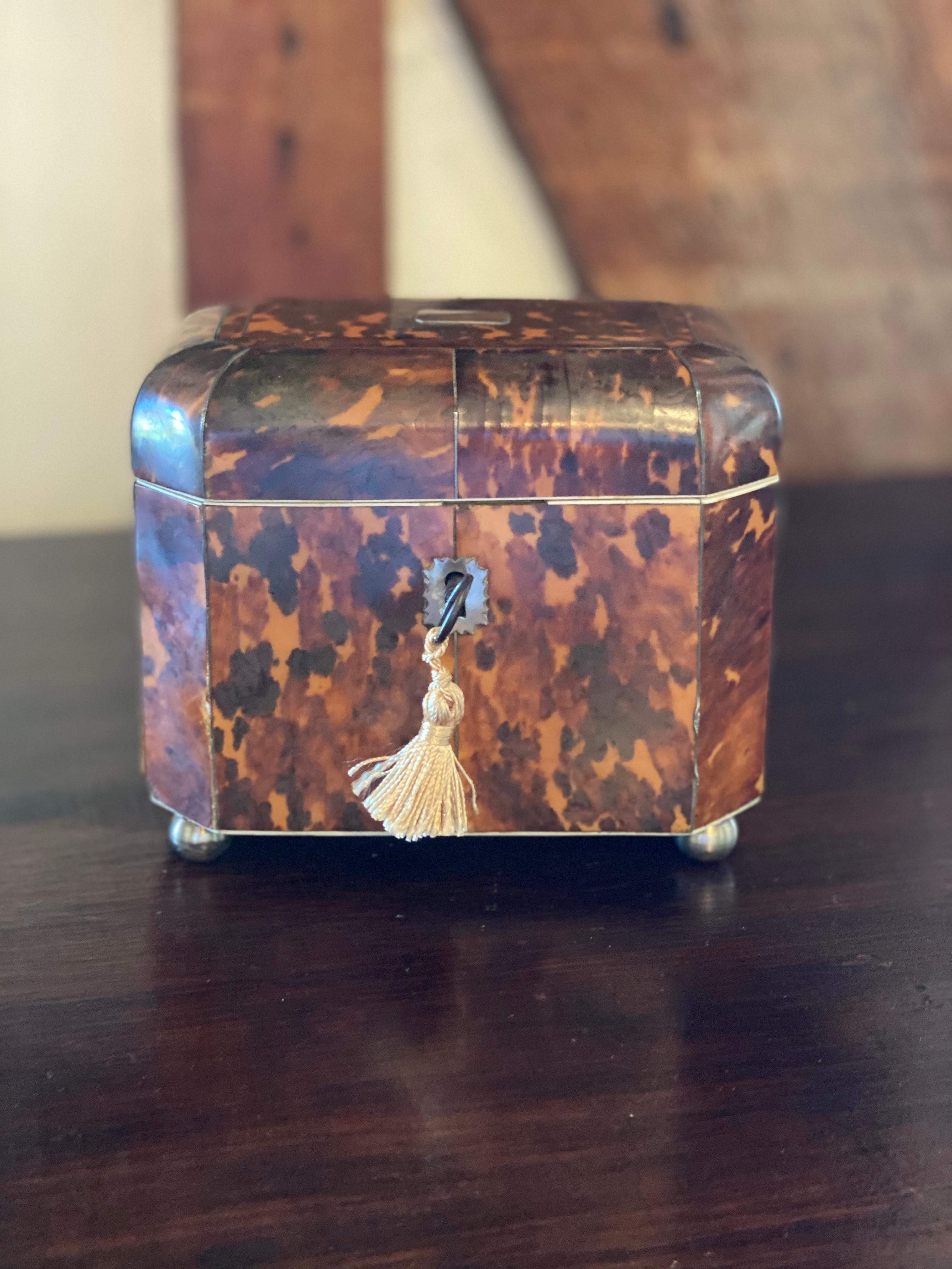Great 19th century English bone inlaid tortoise shell tea caddy with painted interior and metal feet.