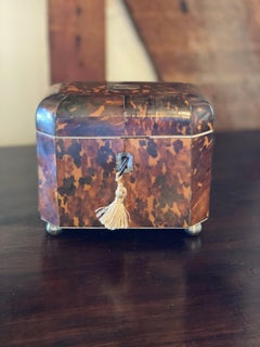 19th Century English Bone Inlaid Tortoise Shell Tea Caddy
