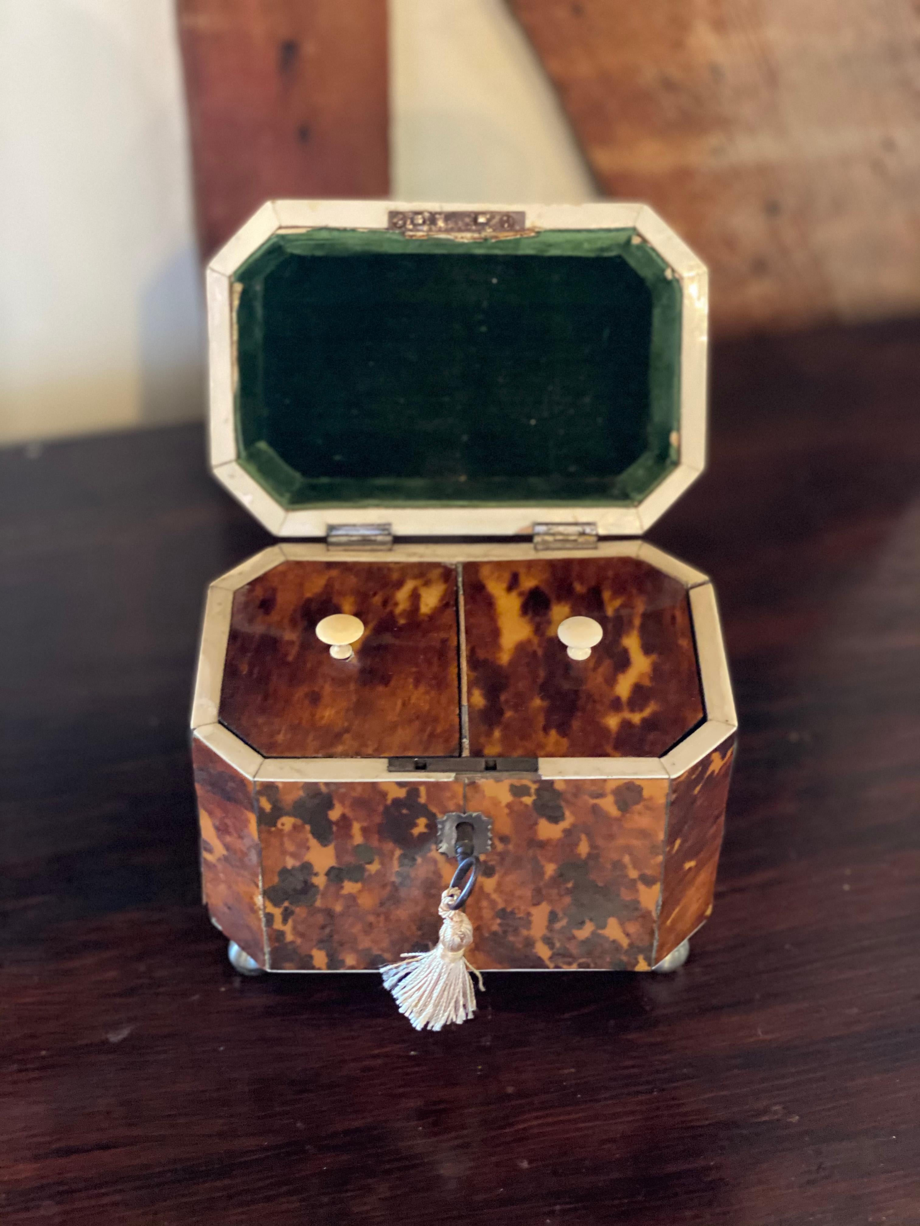 19th Century English Bone Inlaid Tortoise Shell Tea Caddy 1