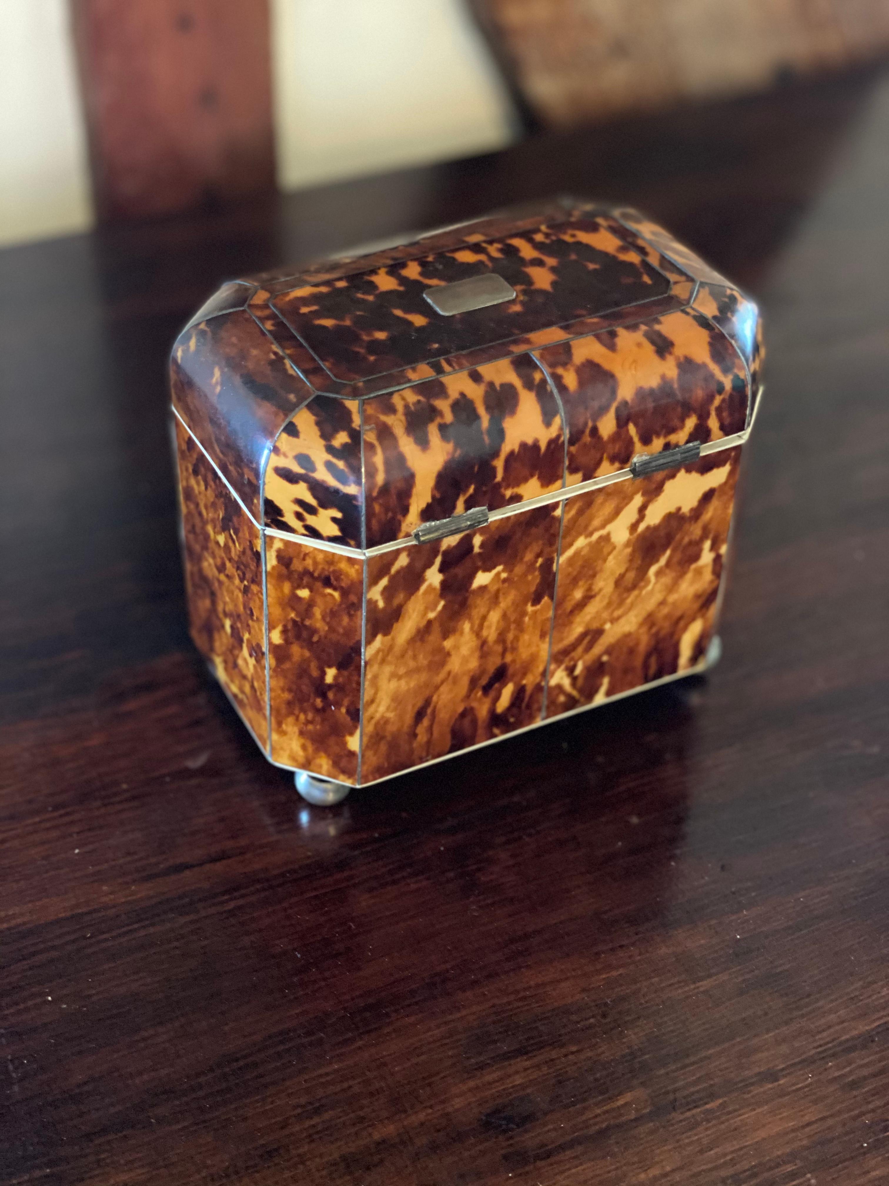 19th Century English Bone Inlaid Tortoise Shell Tea Caddy 2