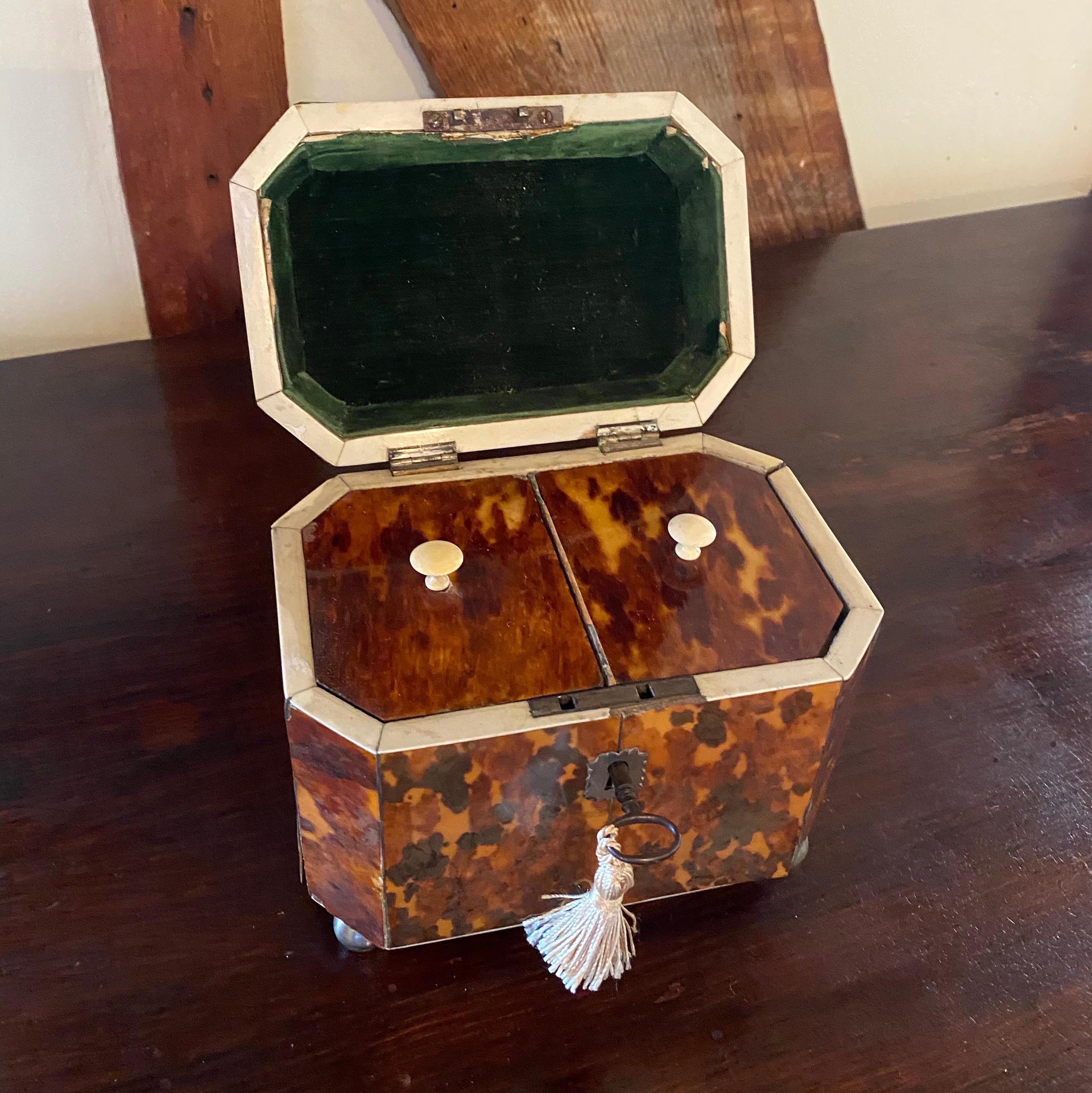 19th Century English Bone Inlaid Tortoise Shell Tea Caddy 3