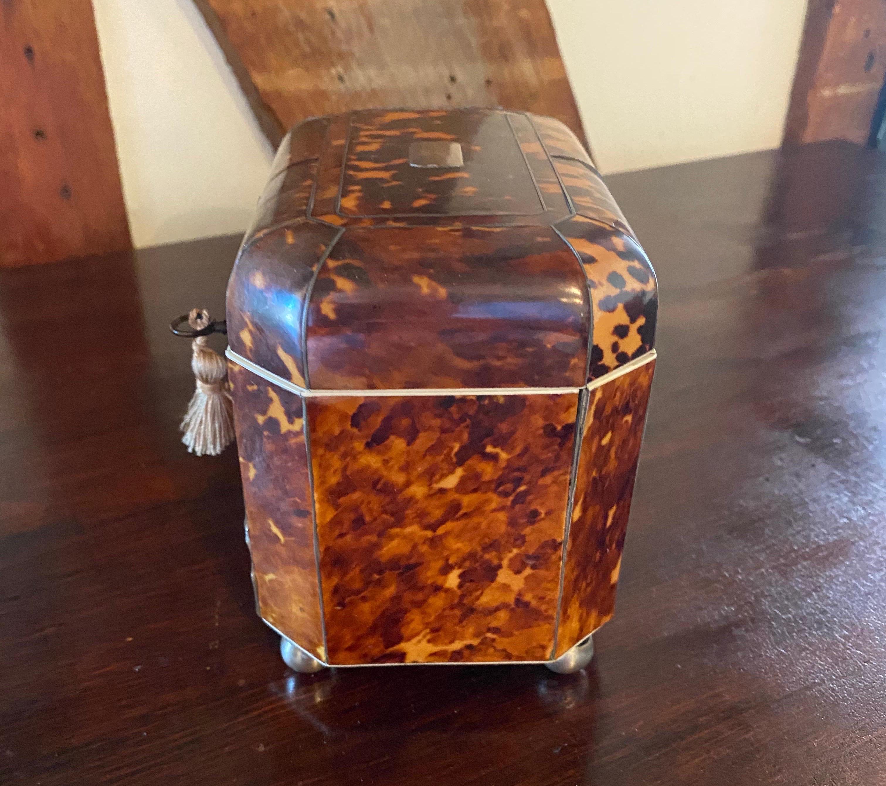 19th Century English Bone Inlaid Tortoise Shell Tea Caddy 4