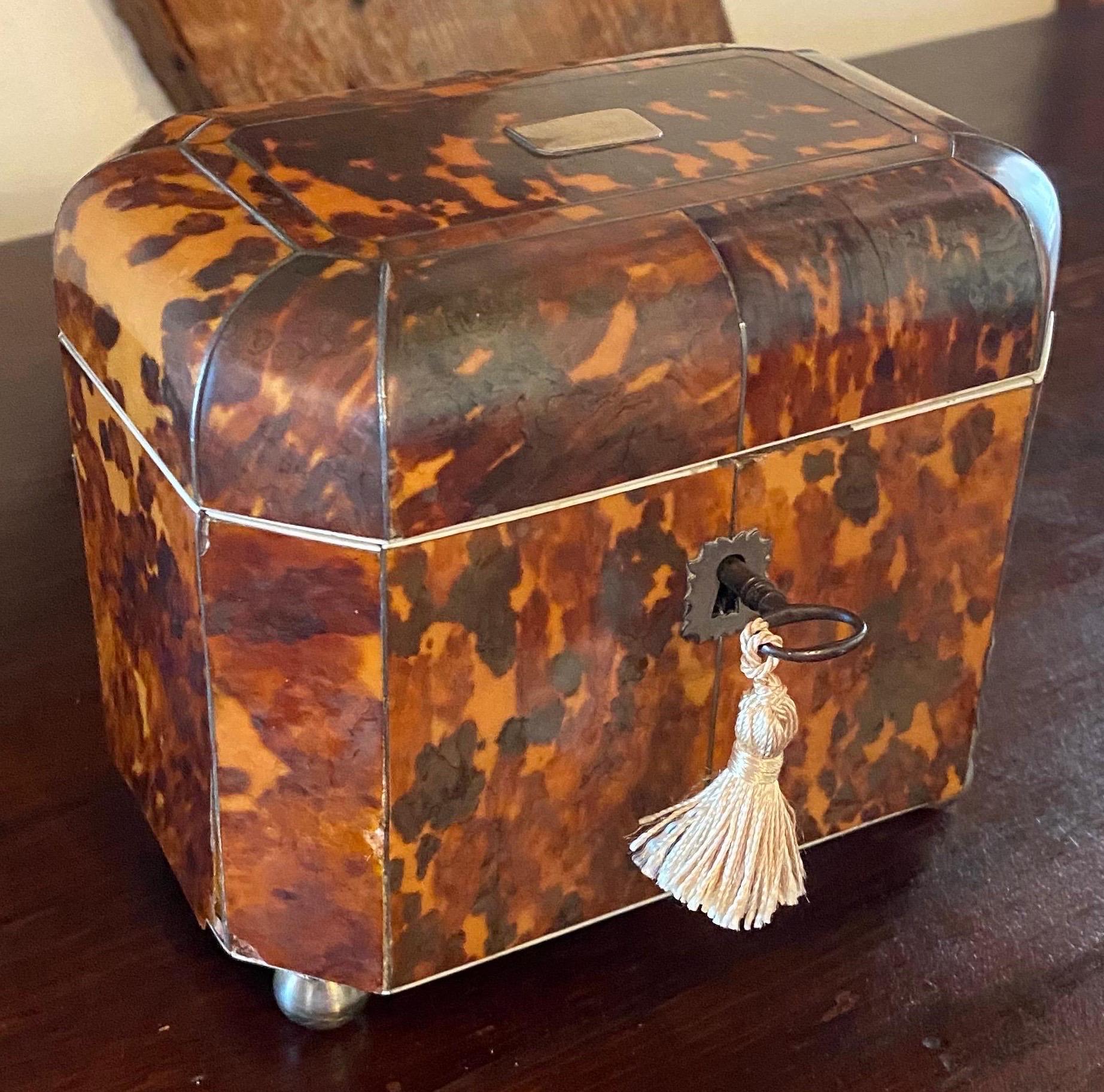 19th Century English Bone Inlaid Tortoise Shell Tea Caddy 6